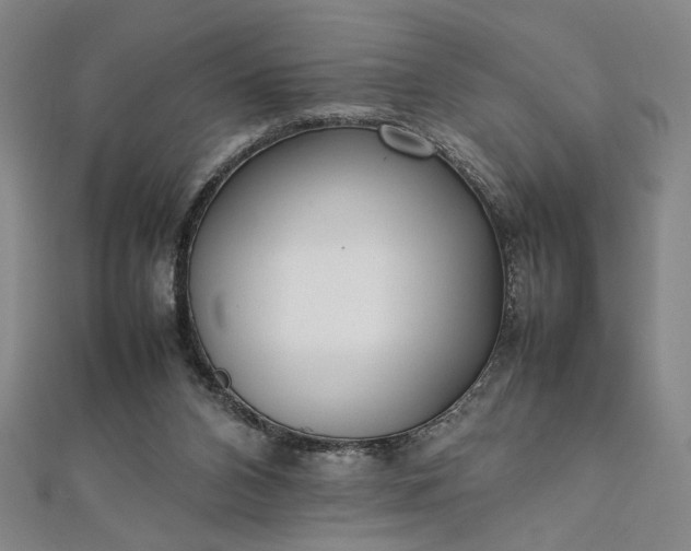 X0000111920112200908031213