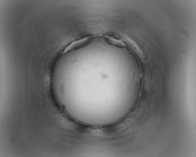 X0000111920113200908031213