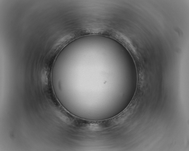 X0000111920114200908031213