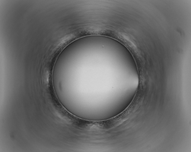 X0000111920115200908031213