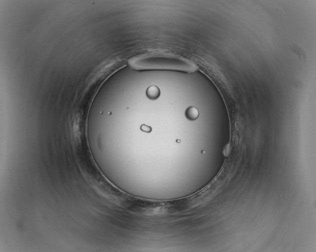 X0000111920116200908031213