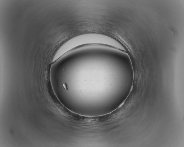 X0000111920117200908031213