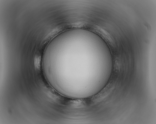 X0000111920118200908031213