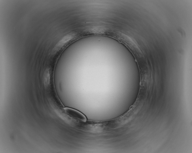 X0000111920120200908031213