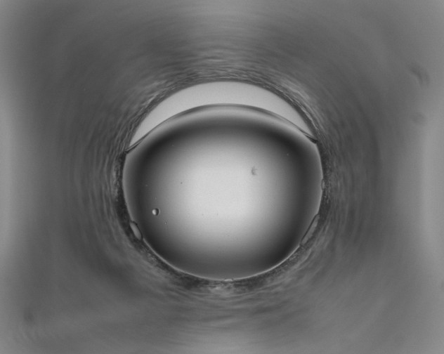 X0000111920121200908031213