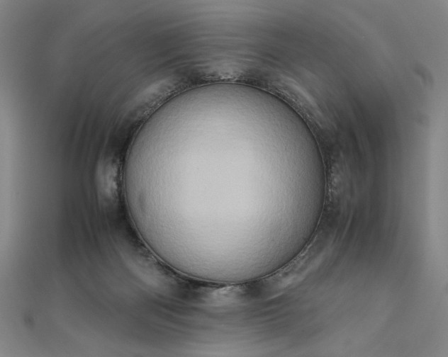 X0000111920122200908031212