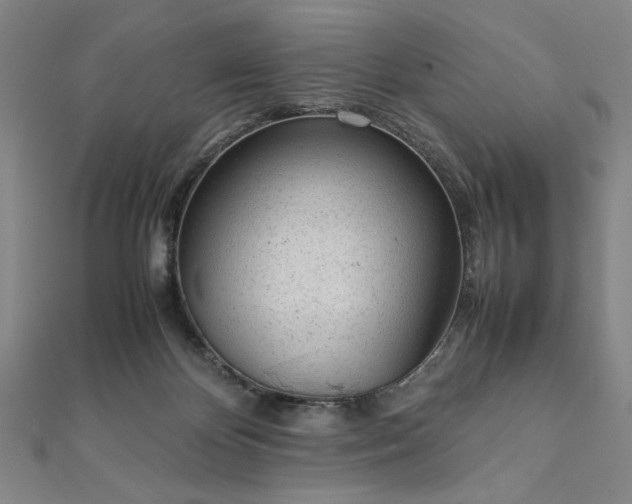 X0000111920124200908031212