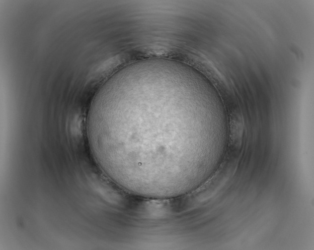 X0000111920126200908031212