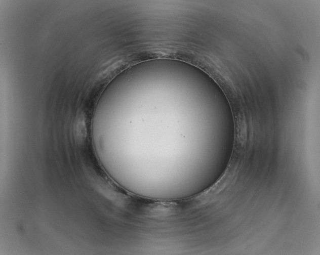 X0000111920128200908031212