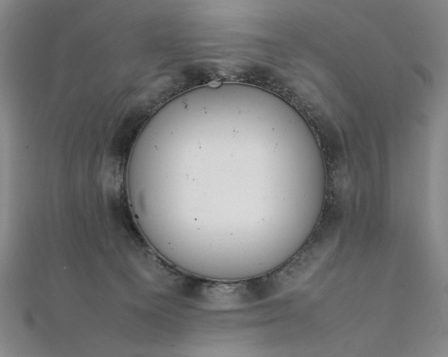 X0000111920129200908031212