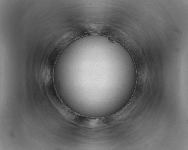 X0000111920130200908031212