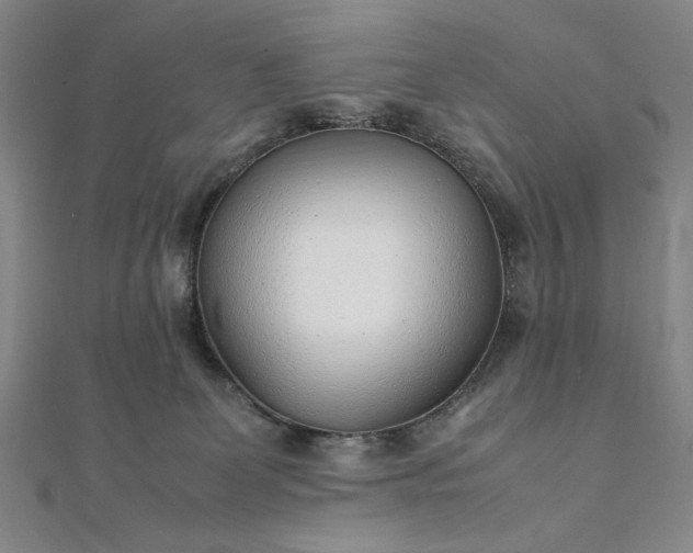 X0000111920131200908031212