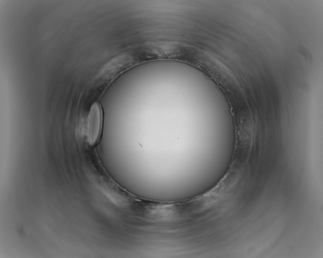 X0000111920132200908031212