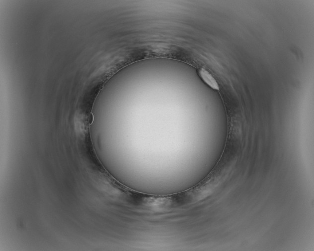 X0000111920135200908031212