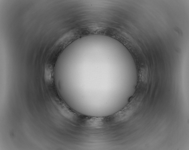 X0000111920138200908031212