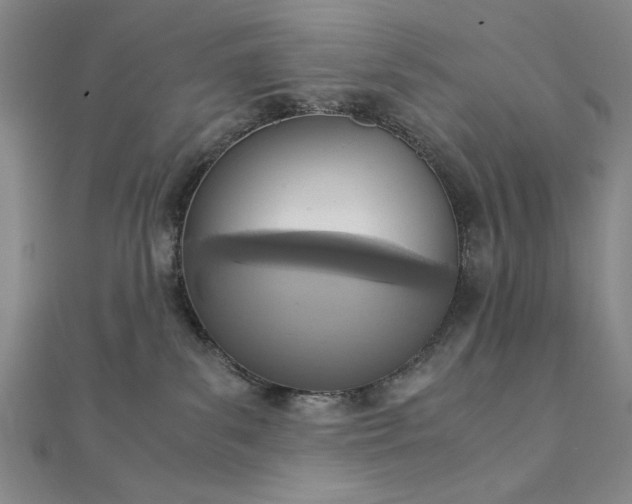 X0000111920139200908031212