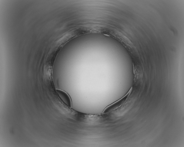 X0000111920141200908031212