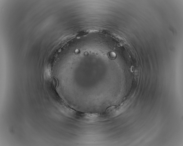 X0000111920143200908031212