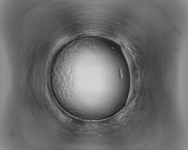 X0000111920145200908031212