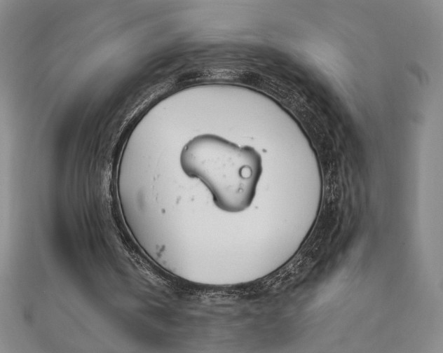 X0000111920146200908031212