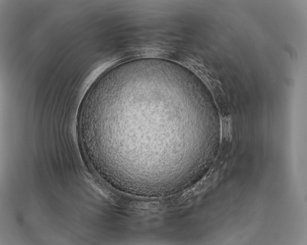 X0000111920147200908031212