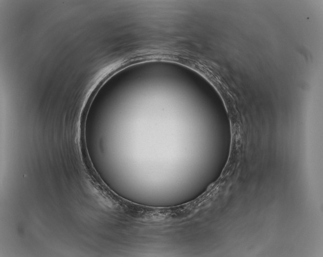 X0000111920148200908031212