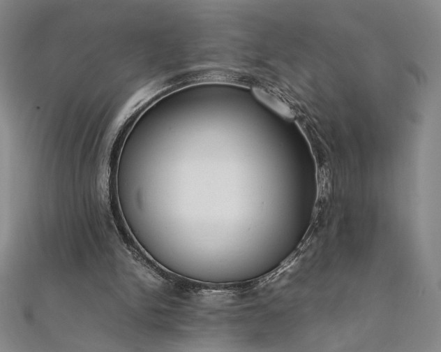 X0000111920150200908031212