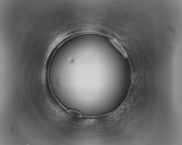 X0000111920152200908031212