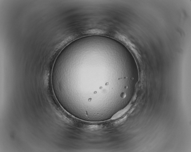 X0000111920153200908031212