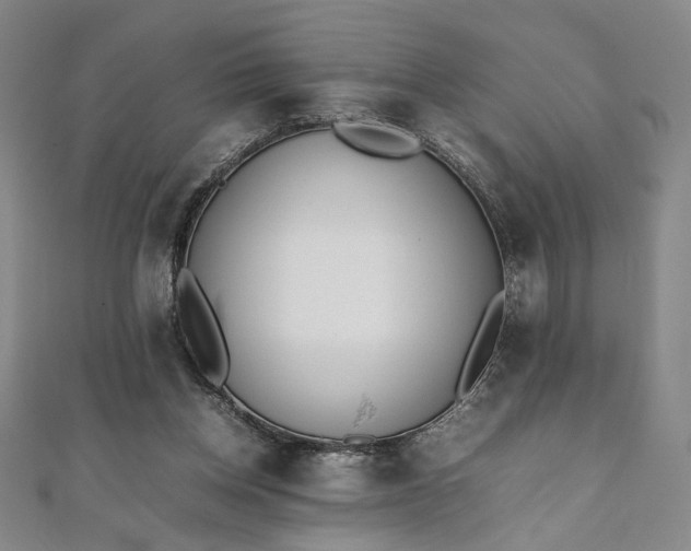 X0000111920158200908031212