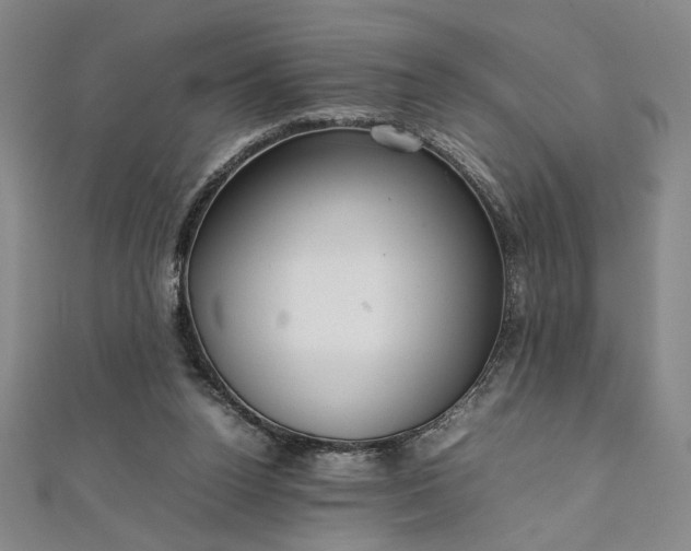 X0000111920160200908031212