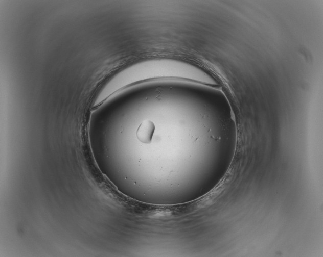 X0000111920162200908031212