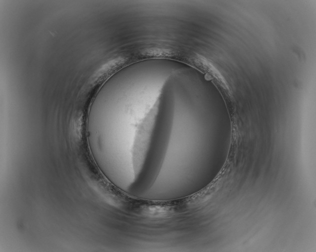 X0000111920163200908031212