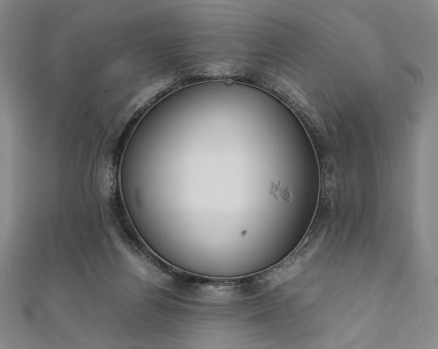 X0000111920164200908031212