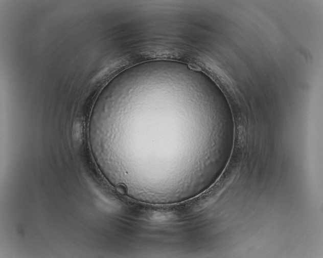 X0000111920165200908031212