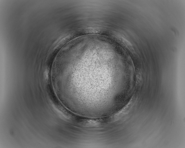 X0000111920166200908031212