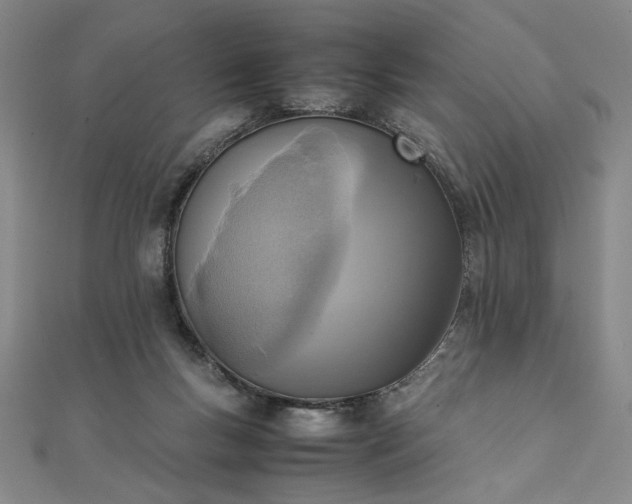 X0000111920167200908031212