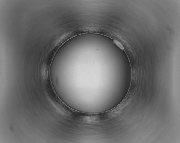 X0000111920168200908031212