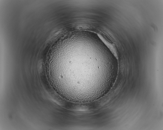 X0000111920169200908031212