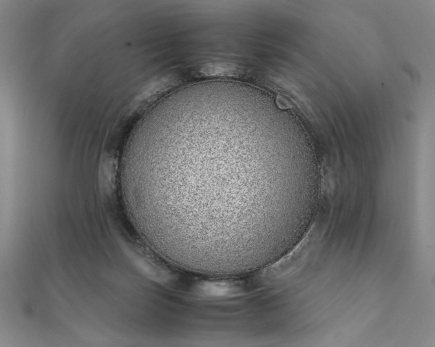 X0000111920171200908031212