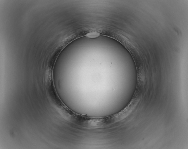 X0000111920172200908031212