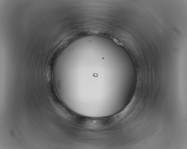 X0000111920174200908031212