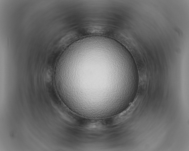 X0000111920175200908031212