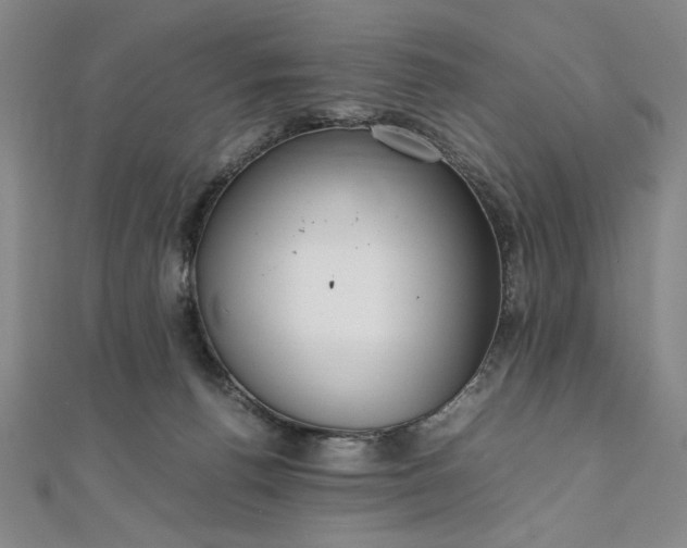 X0000111920176200908031212