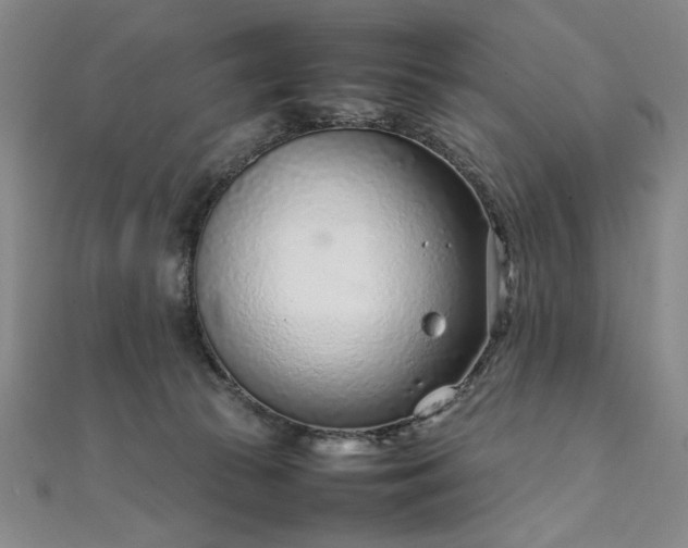 X0000111920177200908031212