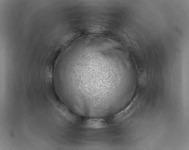 X0000111920179200908031212