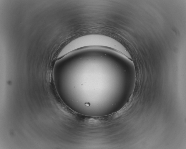 X0000111920180200908031212