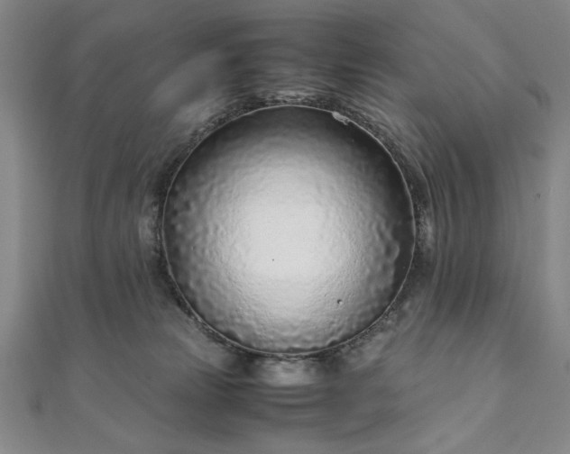 X0000111920181200908031212