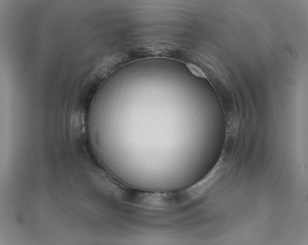 X0000111920182200908031212