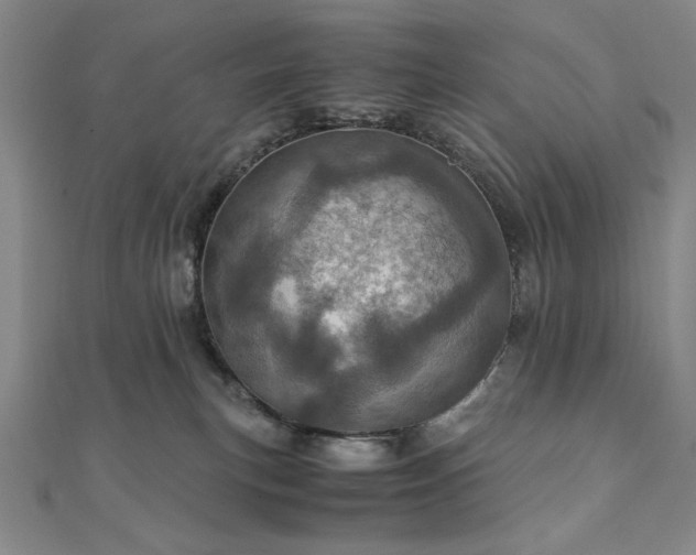 X0000111920183200908031212